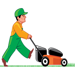 mdsenterprises.co.in